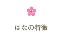 はなの特徴