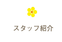 スタッフ紹介